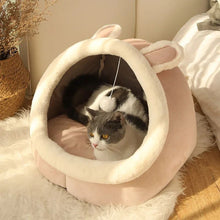 Deep Sleep Cat Bed Cartoon – Foldable, Removable Washable Pet Bed