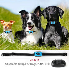 USB Rechargeable Ultrasonic Anti-Bark Collar for Dogs